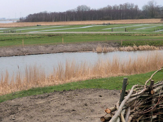 De herstelde grachtoever van Fort bij Krommeniedijk.