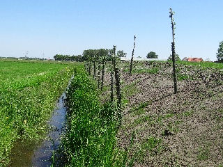 Nieuwsgierig? Lees deze nieuwsbrief maar!