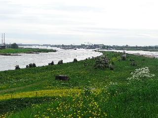 Uitzicht vanaf Fort bij Pannerden over de riviersplitsing.