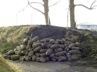Gevonden betonnen oefenbommen op Fort bij Aalsmeer (2006).