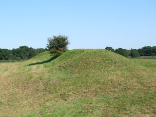 Fort in de Botshol