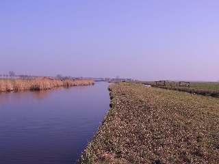 Polder