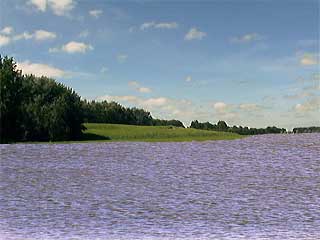 Zo zou het Fort aan de Middenweg eruit zien als de polder onder water is gezet