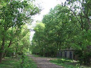 De munitiemagazijnen met het bos.