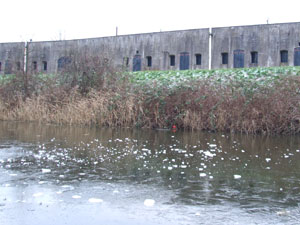 IJs op een fortgracht.