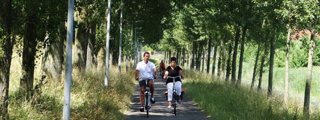 Fietsers op de Geniedijk Haarlemmermeer.