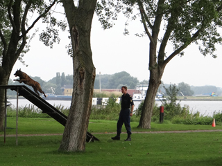 Politiehond oefent op het terrein van de Buskruithaven Buitenhuizen.