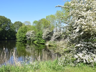 Gracht van Fort bij Edam.