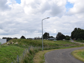 Schapen op Batterij I van de Linie Kudelstaart - Uithoorn.