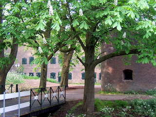 Beplanting op Fort De Gagel.