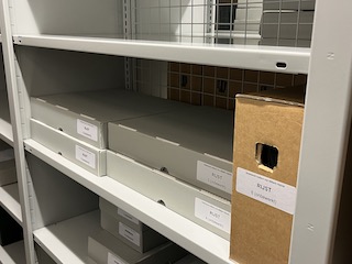 De archiefdozen van de collectie Rijst in het depot van het NIMH.