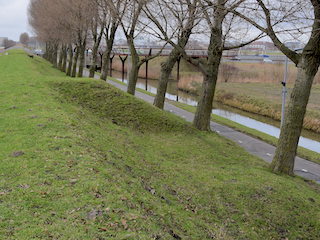 Traversen in de Geniedijk nabij de Slotertocht.