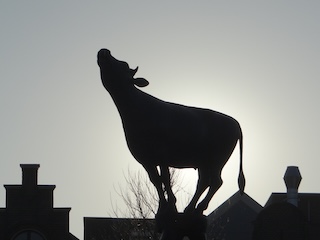 Het standbeeld Koeien op de Koemarkt in Purmerend.