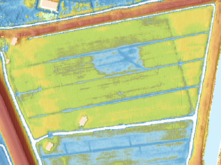 Hoogtekaart van de Gruiterspolder waar de tankproeven bij Spaarndam plaatsvonden.